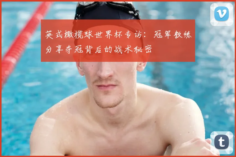 英式橄榄球世界杯专访：冠军教练分享夺冠背后的战术秘密