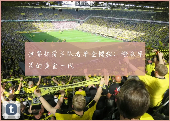 世界杯荷兰队名单全揭秘：橙衣军团的黄金一代
