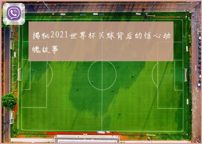 揭秘2021世界杯买球背后的惊心动魄故事
