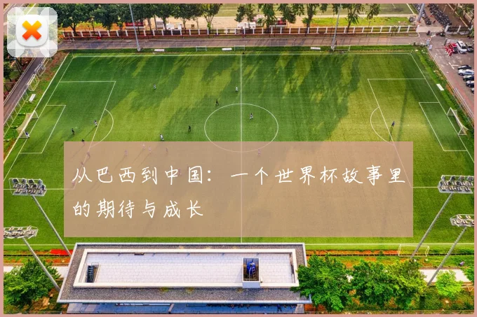 从巴西到中国：一个世界杯故事里的期待与成长